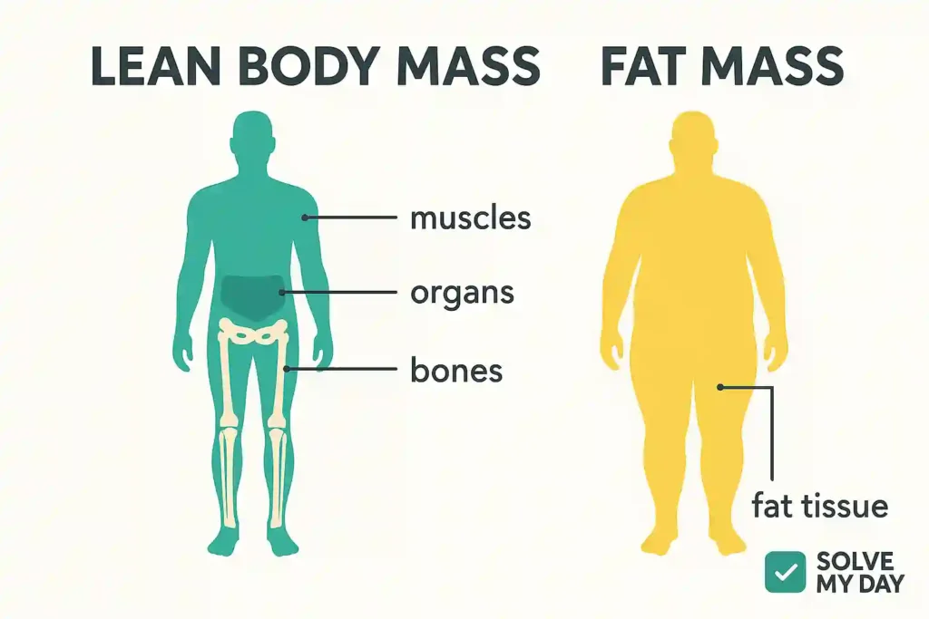 Fat vs Lean Body Mass